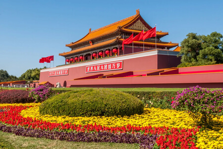 grupo-guia-primavera-china