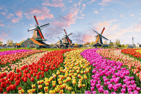 450x300 - Belgica e Holanda