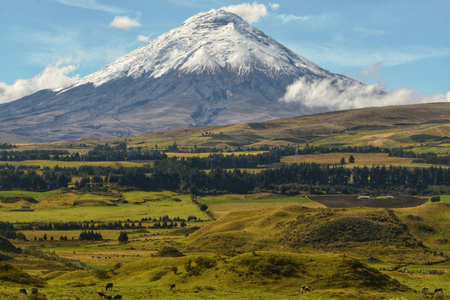 450x300 - Equador e Galapos